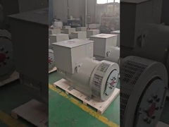 H Class 10-1000 KW เครื่องกําเนิด AC แบบไม่มีแปรง 3 ขั้นตอน Premium